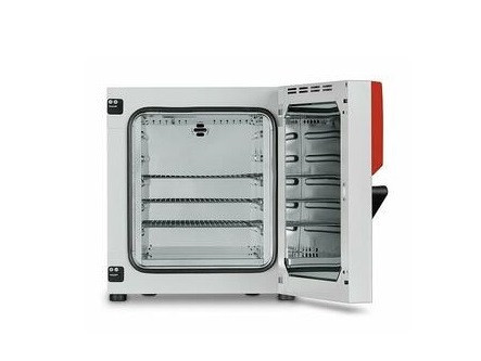 Binder ED115-230V-RU шкаф сушильный