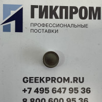 Ключ iButton DS1971-F5